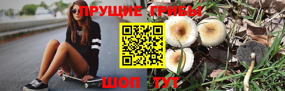 Галлюциногенные грибы MAGIC MUSHROOMS  Вход с VPN  купить  сайты  Котлас 