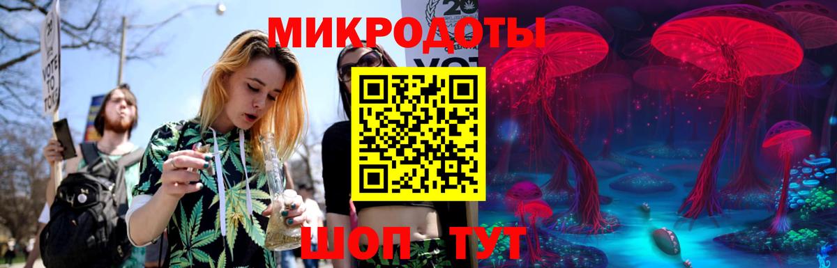 Псилоцибиновые грибы Magic Shrooms Котлас